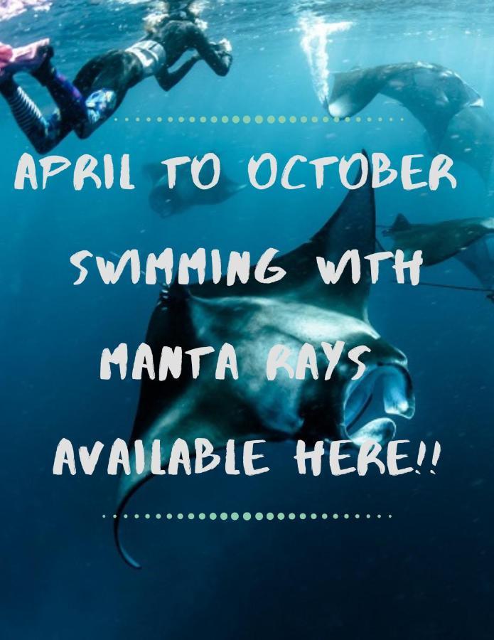 White Sandy Beach-Best Manta Snorkeling Tethi Екстериор снимка